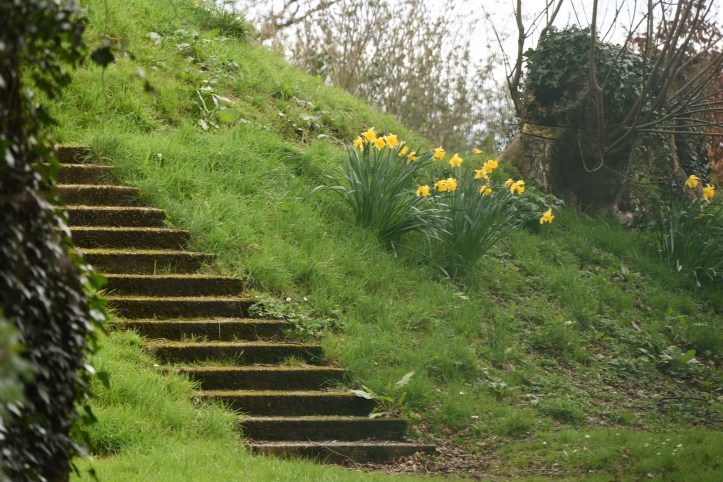 Holywood motte