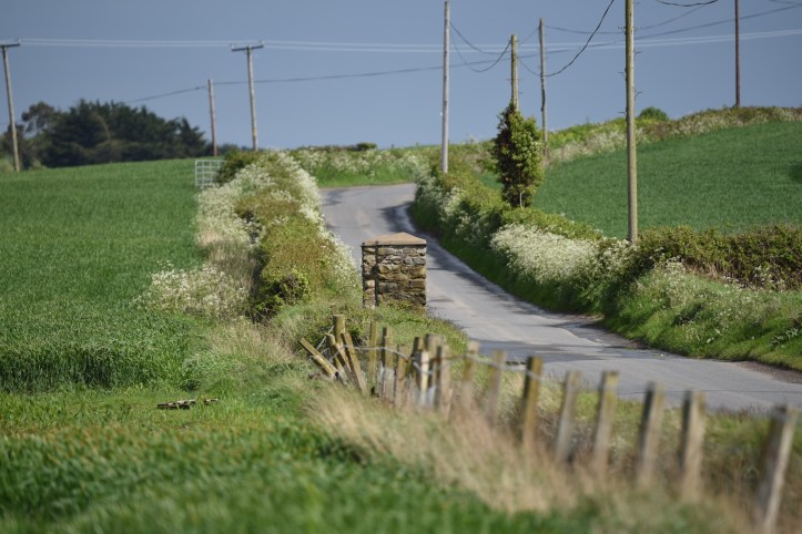 Ringneill Road gateposts