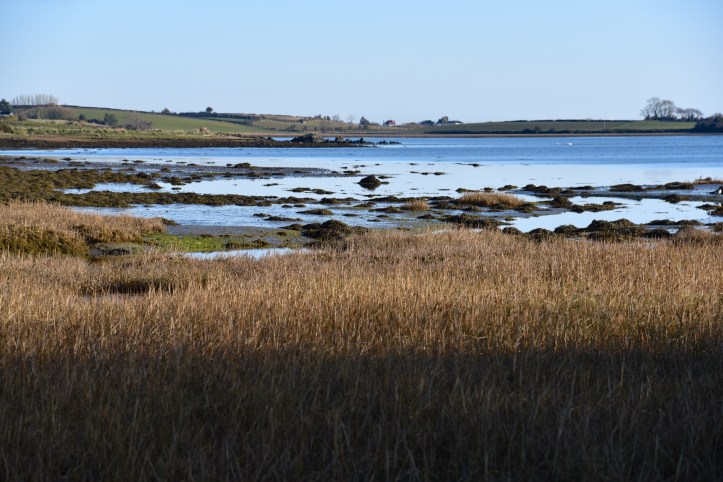 Tullynakill loughshore