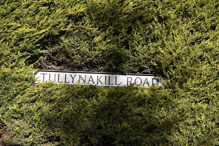 Tullynakill road sign