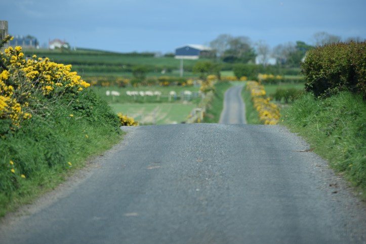 Bairdstown road in Whitechurch