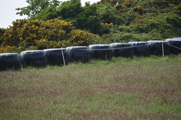 Gregstown silage bales