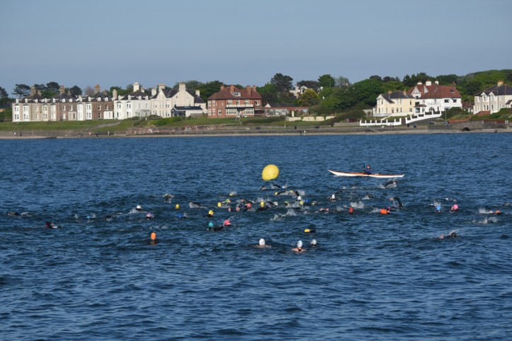 Ballyholme swimmers