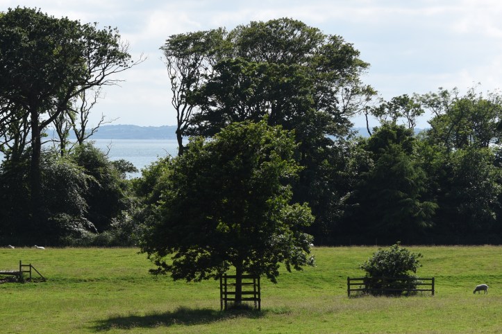 Rosemount lough view
