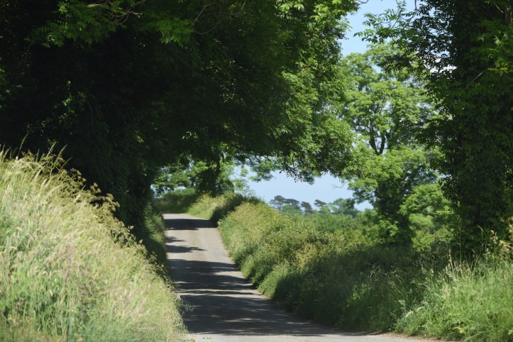 Ardigon Road Tullyveery