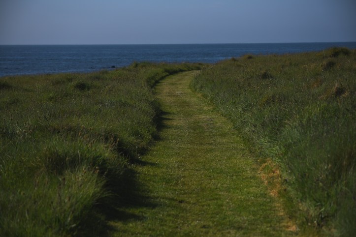 Kearney grass path