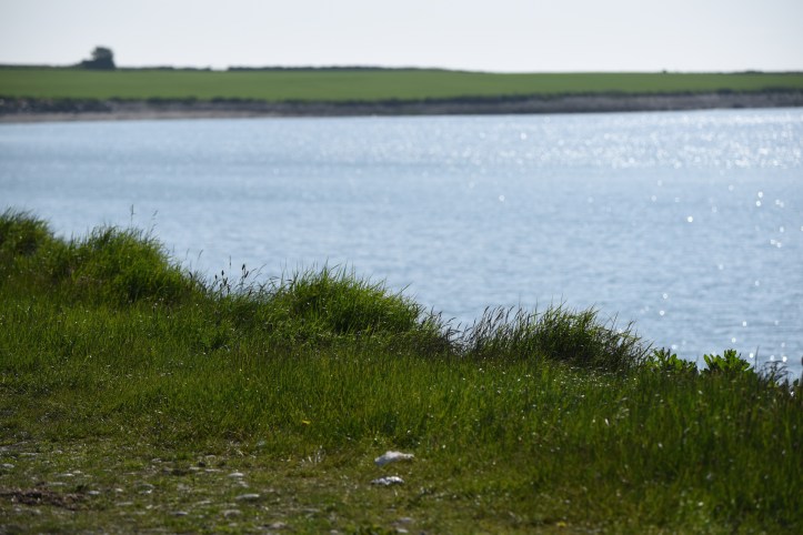 Knockinelder bay and field