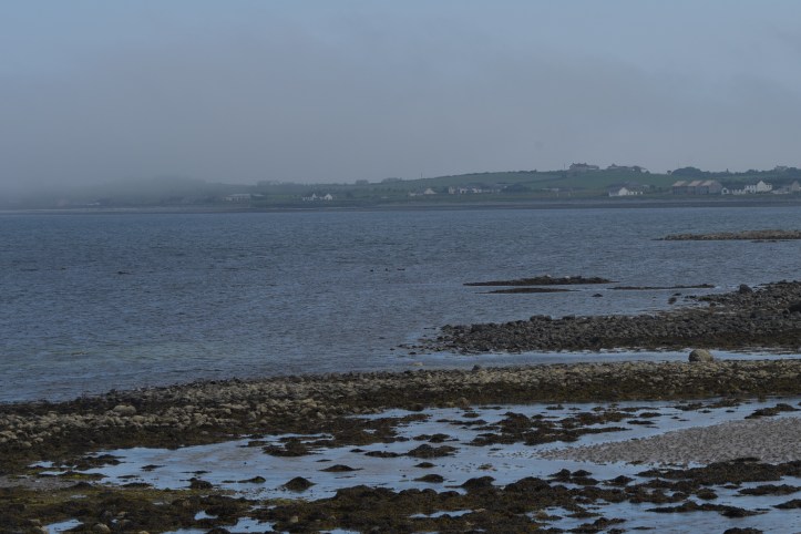 Sea fog at Ballyhalbert (1)