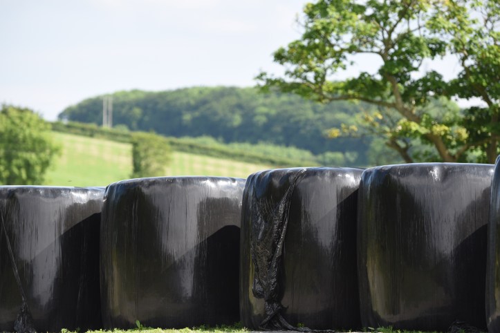 Tullyveery silage bales