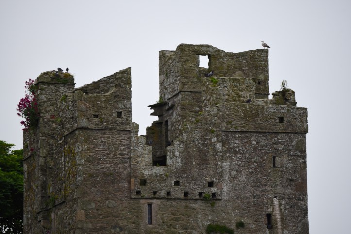 jordans-castle-ardglass