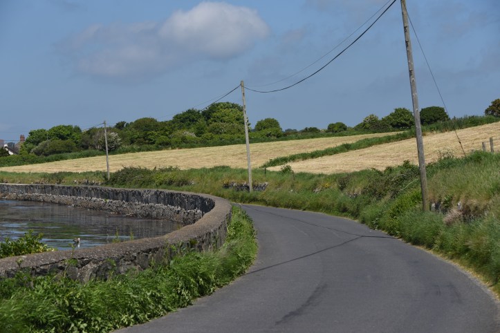 tullyboard-shore-road