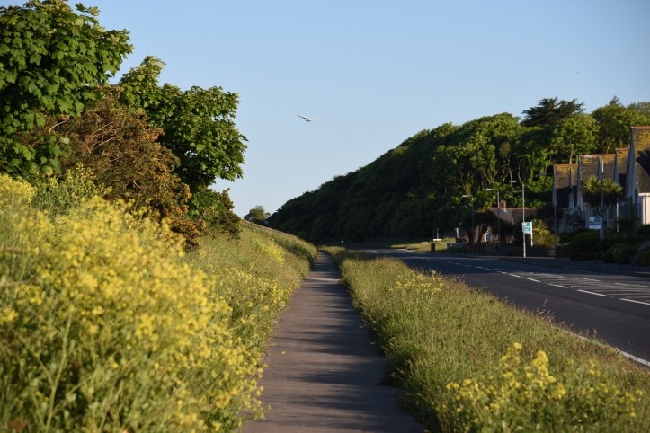 ballyrolly-road-and-houses
