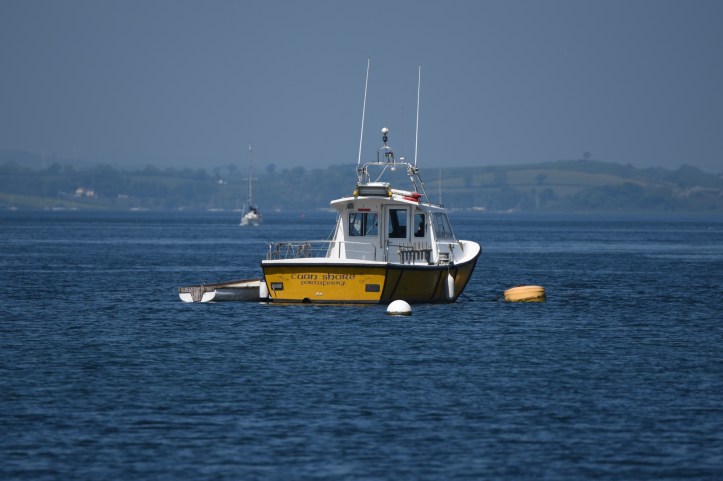 cuan-shore-boat-portaferry