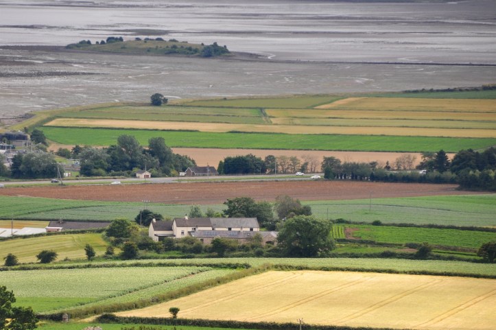 Longlands from Scrabo
